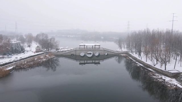 千城胜景|山东巨野:冬日雪景美如画