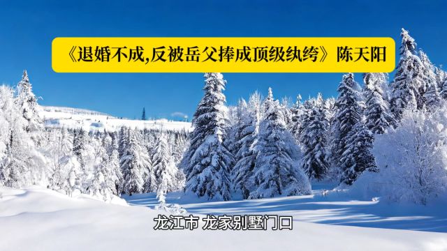 《退婚不成,反被岳父捧成顶级纨绔》陈天阳全文阅读◇完结热书