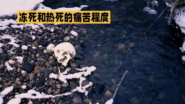 冻死和冷死哪个更痛苦?这种痛苦太可怕了?