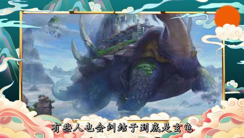 玄武和玄龟有区别吗?_高清1080P在线观看平台_腾讯视频