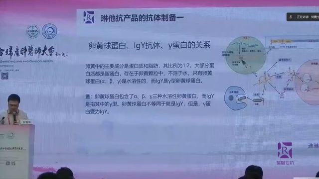 瑞琳他抗产品抗体制备与循证研究