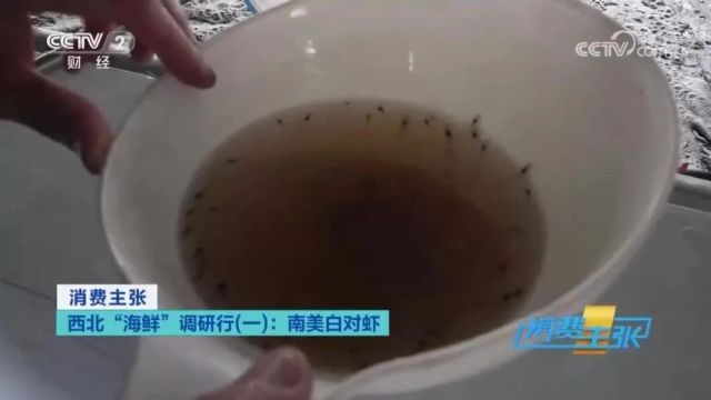 回眸2023,张掖的“央视时刻”(四)