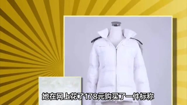 为什么鸭绒、鹅绒都能做羽绒服,同样是家禽,鸡绒就不行?羽绒服 2