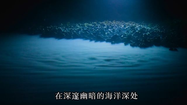 深海里的海中海 形成的原因是因为地球在放屁