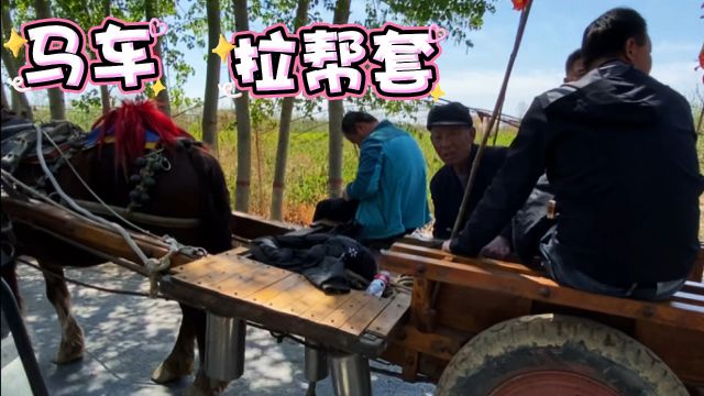 马车“拉帮套”是东北地区的传统叫法,那河北山西山东又咋么叫呢