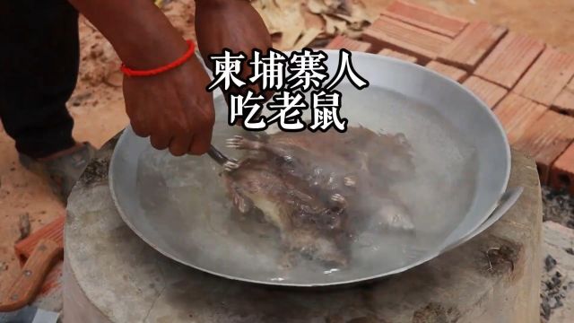 你可以不爱吃老鼠,但一定要请你的好朋友吃#越南美食天花板 #纪录片解说 #吃老鼠