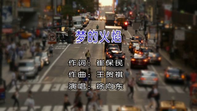 徐向东演唱歌曲《梦的火焰》KTV版