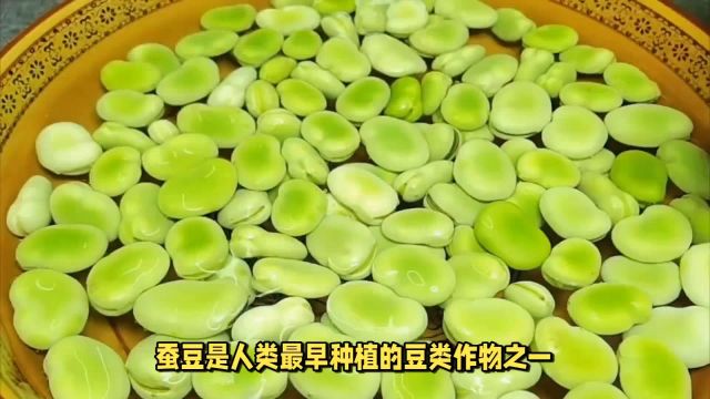 蚕豆:它入口软酥,可制酱、酱油、粉丝等产品,也可做饲料和蜜源植物种植.它耐寒但不耐热,喜湿润环境,忌干旱,营养丰富、用途广泛.