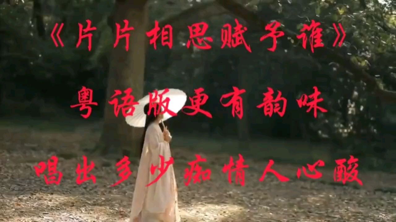 歌曲欣赏《片片相思赋予谁》完整版音乐 好听极了!