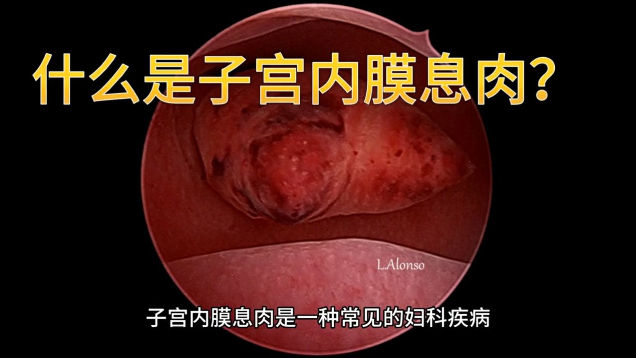 9601616768王旺礼包6522的个人页