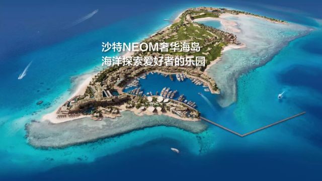 沙特NEOM奢华海岛,海洋探索爱好者的乐园