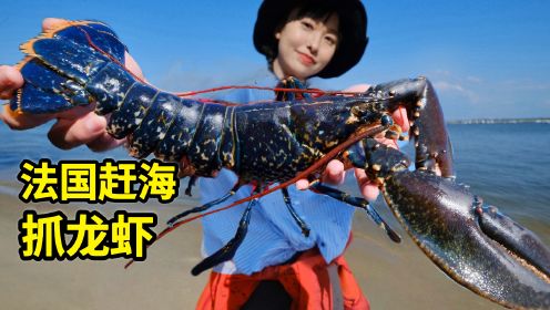 法国赶海抓龙虾，4斤重巨大蓝色龙虾，做龙虾刺身甜脆