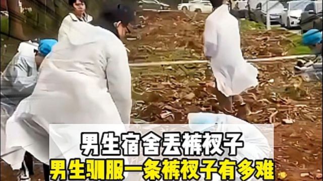 裤衩子对男生真的很重要吗?#大学生 #万万没想到 #离谱 #搞笑