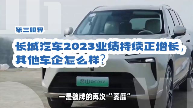 长城汽车2023业绩持续正增长,其他车企怎么样?