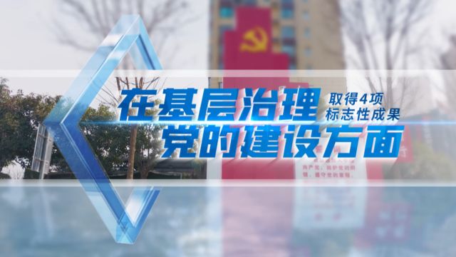 头雁站位 塔尖标准 | 二十项标志性成果之基层治理及党的建设