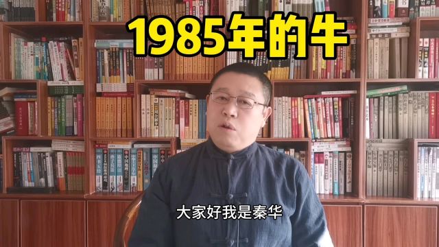 十二生肖,1985年的属牛人