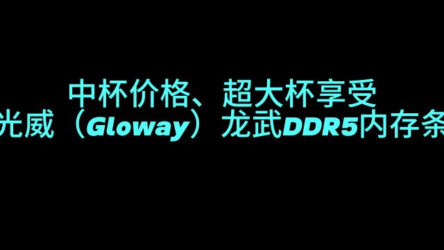 中杯价格、超大杯享受光威(Gloway)龙武DDR5内存条评测