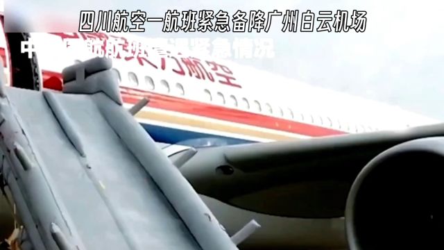 四川航空3U8906航班广州备降:空客A321231机型的