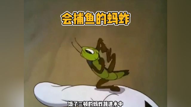 会捕鱼的蚂蚱