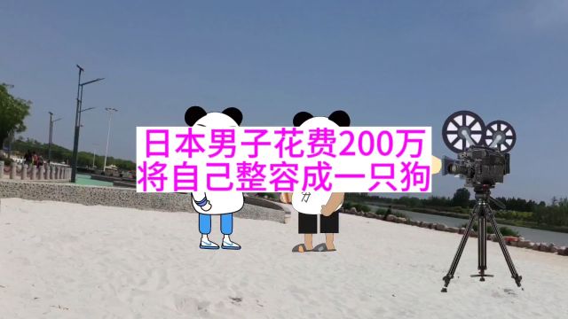 日本男子花费200万将自己整容成一只狗狗