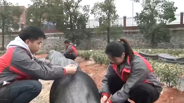 低温冰冻预警持续中ⷦ𙖥—:积极应对雨雪冰冻天气,保民生保生产