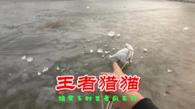 搞笑乡村王者风系列2,蹲在湖边玩游戏真的爽,猎猫抓鱼真的嘚!