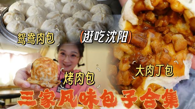 【逛吃沈阳】烤肉包~鸳鸯肉包~巨大肉丁包~三家包子铺合集来啦!