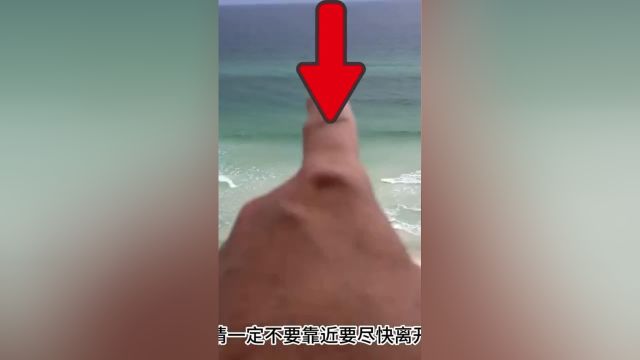 到海边游泳一定要小心离岸流它是海里的隐藏杀手科普离岸流