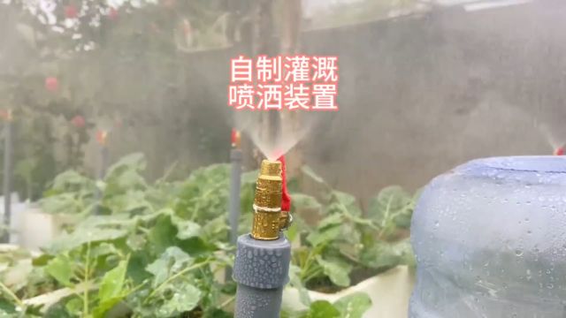 小伙利用PVC管和一个塑料桶自制喷洒装置,太有创意了!#高手在民间 #手工diy #实用小技巧 #浇水 #创意发明