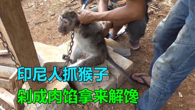 为了能吃上一口猴子肉,印尼小哥抓了两只猴子