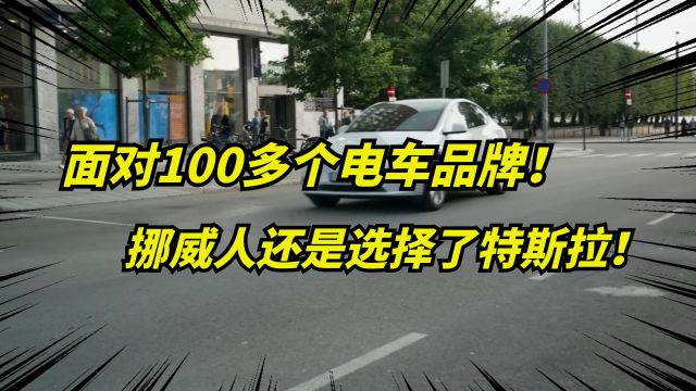 为何挪威人只喜欢特斯拉?在百余电车品牌中,毫不犹豫地选择它!