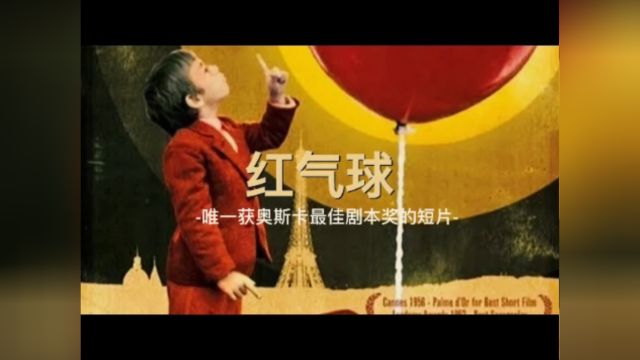 红气球:奥斯卡历史上,唯一获得最佳剧本奖的短片