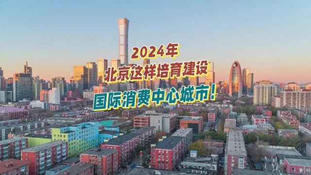 2024年北京国际消费中心城市培育建设工作