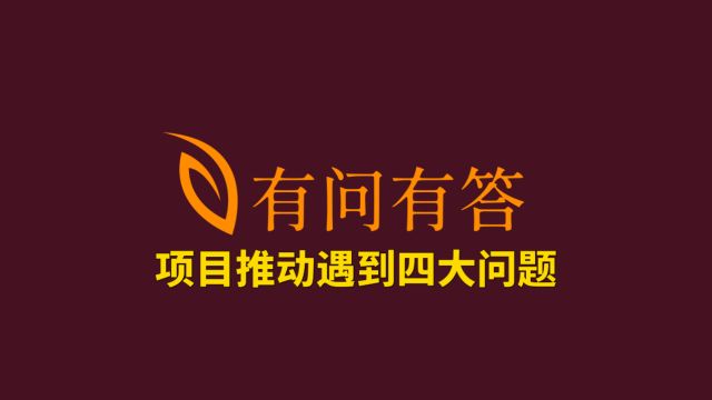 73项目推动遇到四大问题