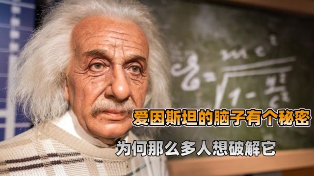 爱因斯坦的大脑究竟隐藏着什么秘密?最终是否研究出有用价值?