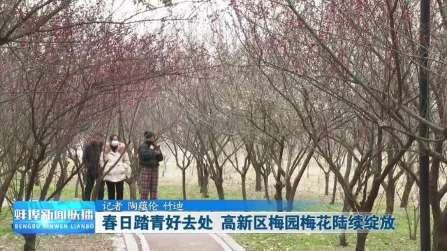 蚌埠新闻联播 2024年2月29日