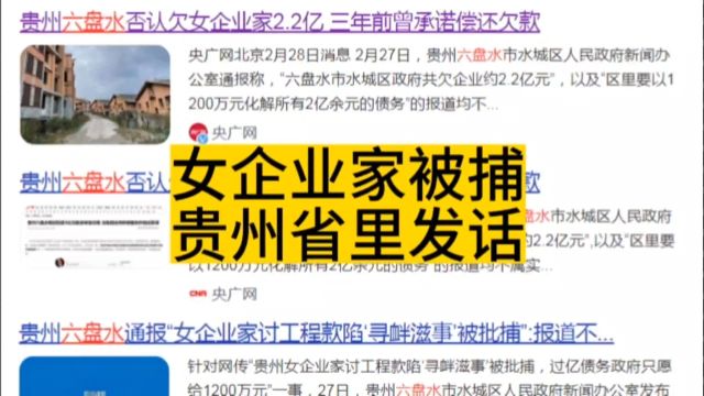 女企业家被捕,贵州省里发话