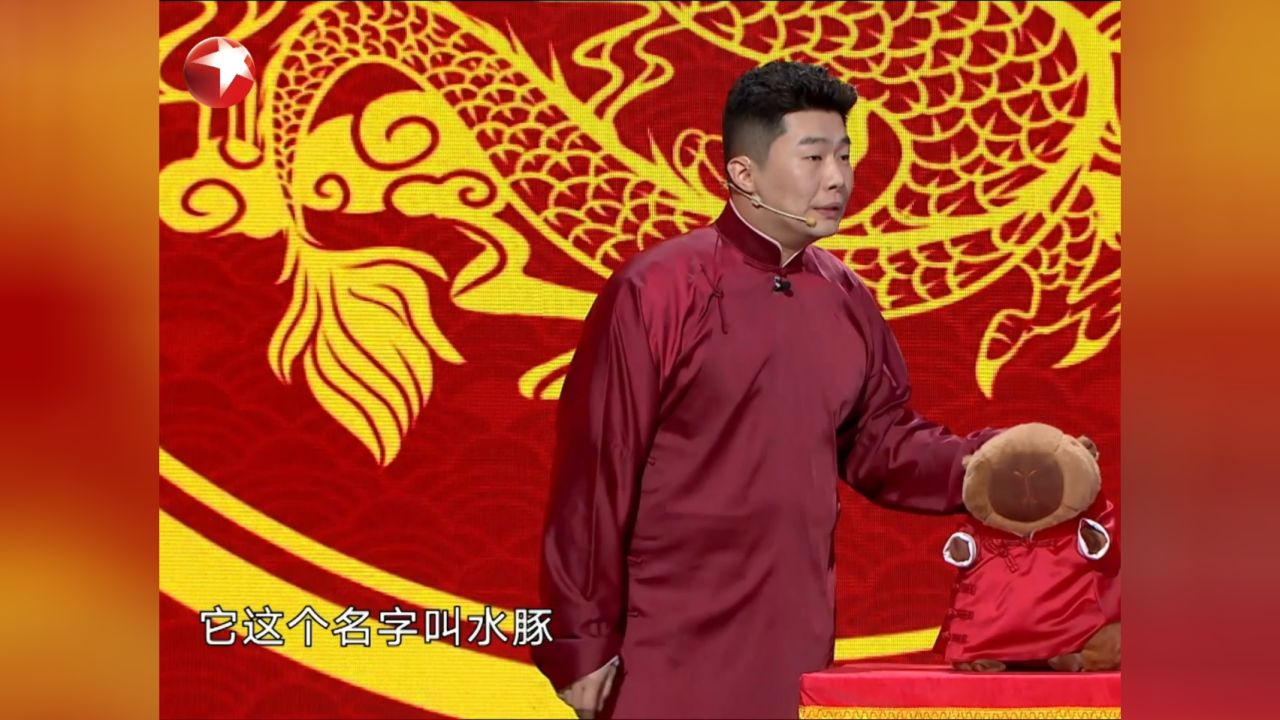 今晚开放麦:水豚是动物界的周九良?你觉得像不?