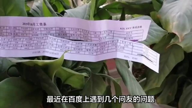 如何正确计算工资?出勤天数、日工资标准全解析