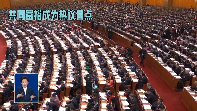 2024年两会热议:共同富裕,共创辉煌