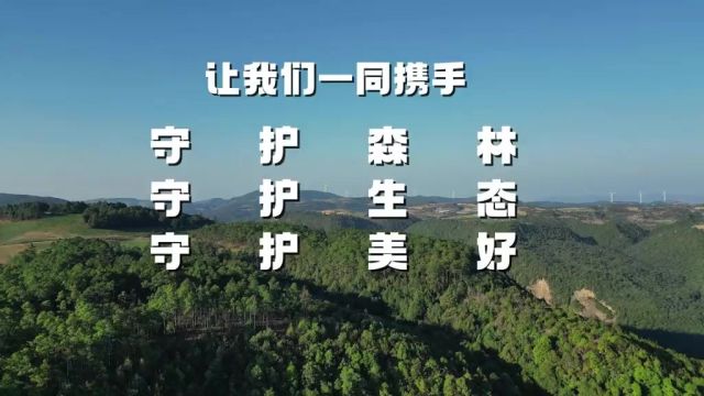 龙武镇:守护森林 守护生态 守护美好记者:张勇 孔祥敏 杨成华 普文庆 冯栗