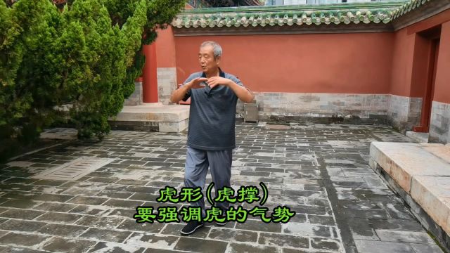 形意拳十二形之虎形(虎撑)的练习方法:形意拳张发智之功夫(64)