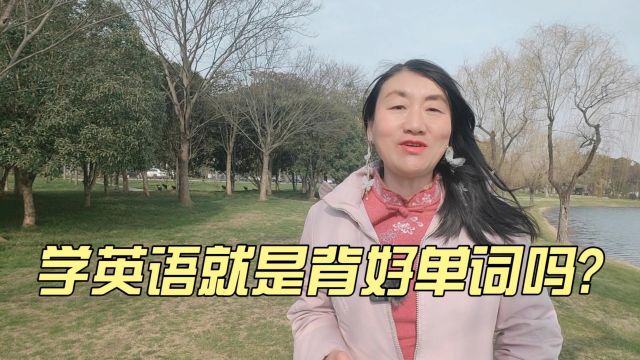 学英语就是背好单词吗,机械记忆 vs真正理解:改变你的英语学习之旅!