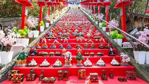 桜縁旅行：日本映像図鑑 雛祭り