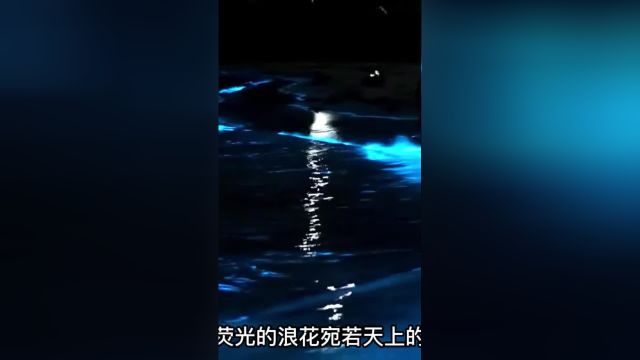 荧光海滩——如同置身梦幻般的域外球星荧光海保护海洋治愈风景自然科普自然奇观荧光海滩##1