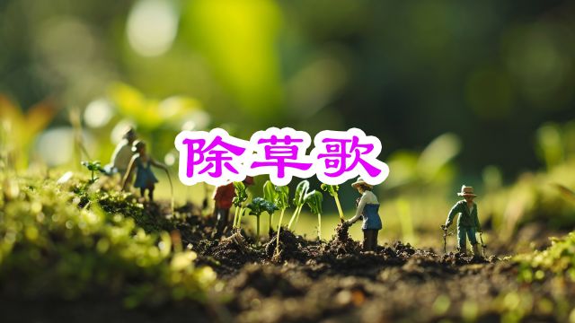 苦中作乐:古巷里的除草故事