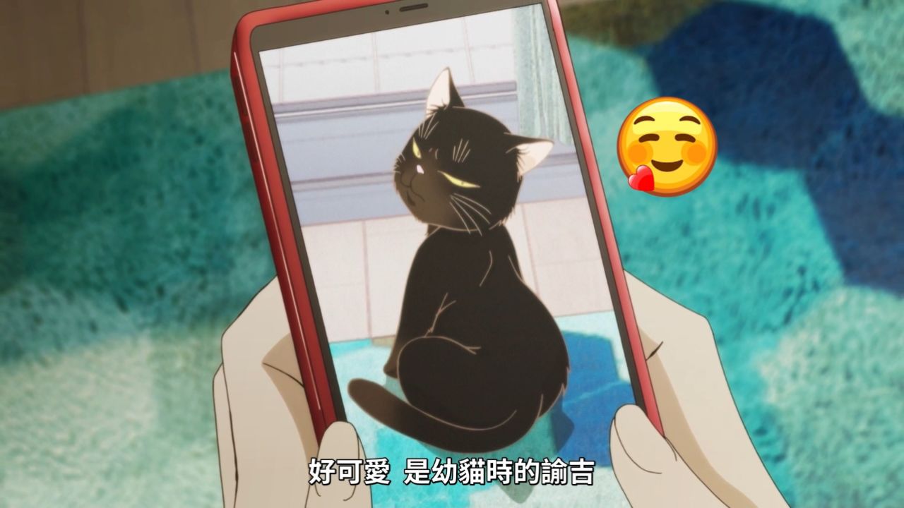 "好可爱 是幼猫时的谕吉"《能干的猫今天也忧郁》搞笑场面【03】