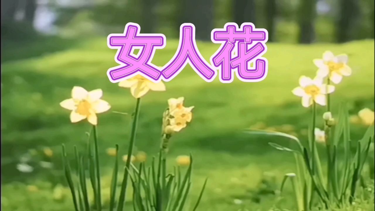 女人花 感谢各位朋友们的支持和关注