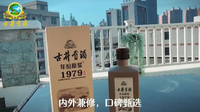 匠心酿艺 酒韵独到 古井贡酒年份原浆1979年窖