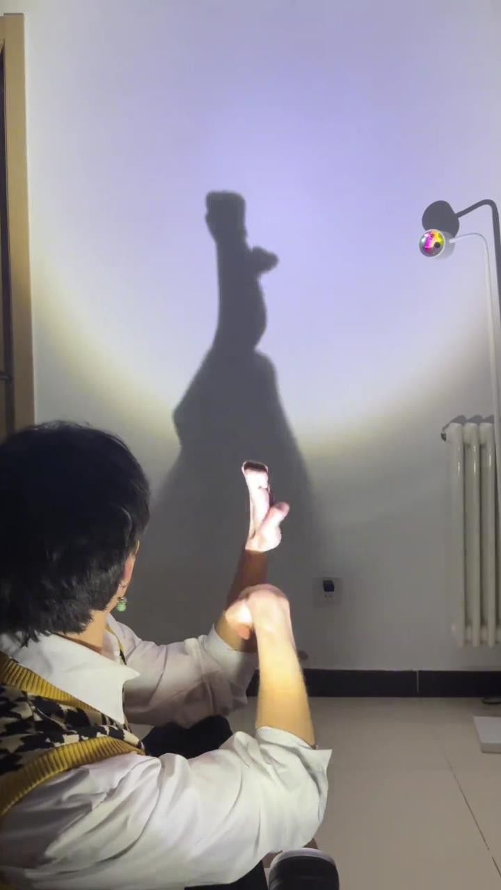 用手和影子表演个才艺手影舞